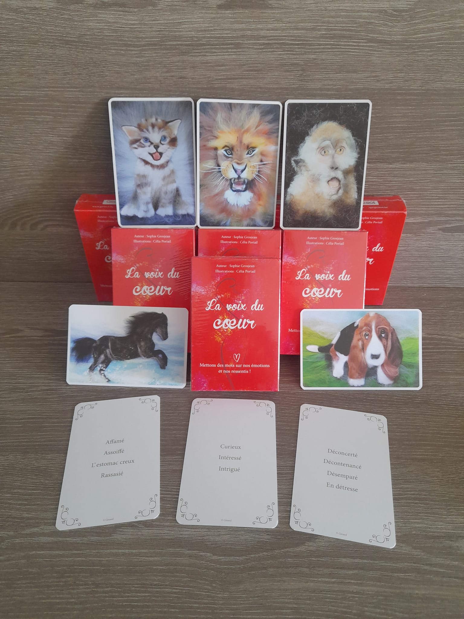 Jeu de cartes et livret – Au cœur de la communication NonViolente